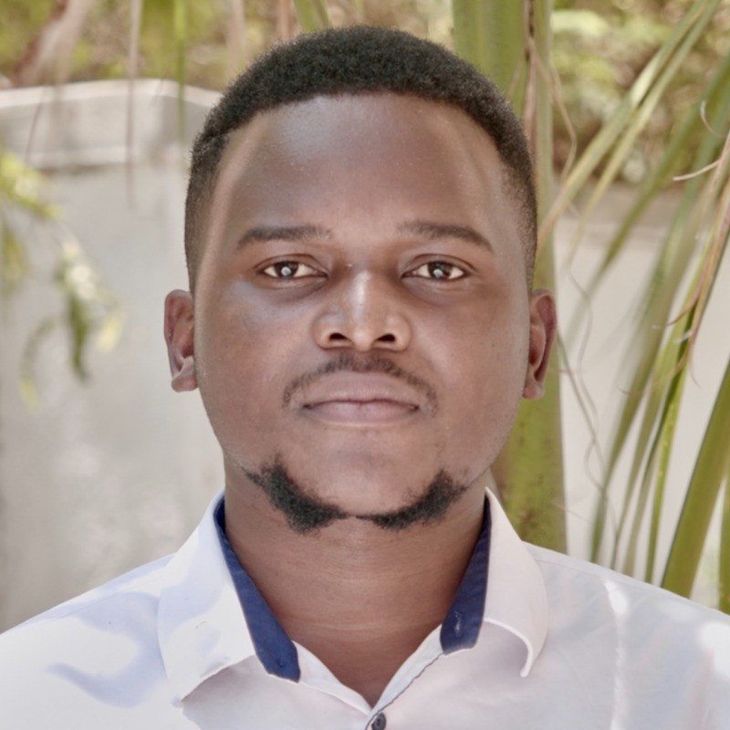 Clifford Mwale Malipo software engineer developing secure transaction systems